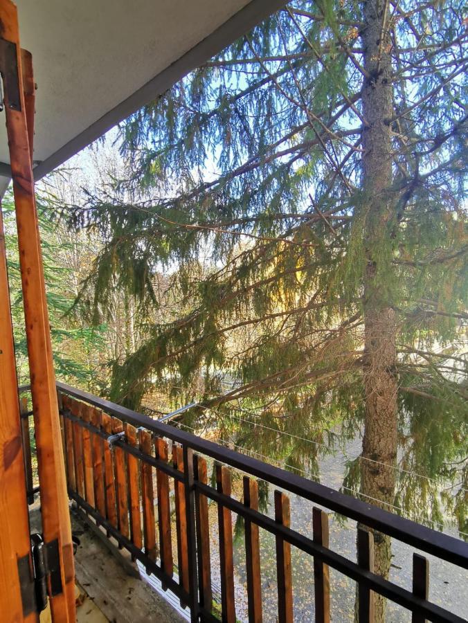 Apartamento La Casa Di Fantalegno Camigliatello Silano Exterior foto